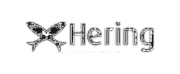 Hering